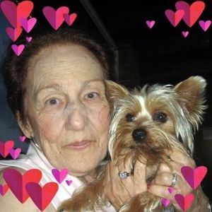 Meet your Posher, Barbara